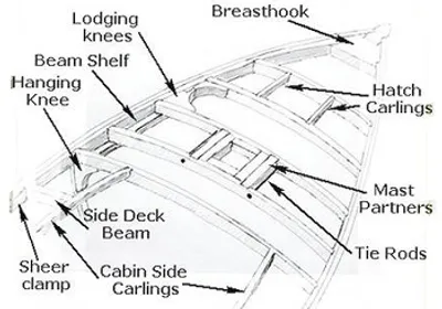 Illustration knee - Image 3