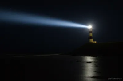 Illustration shined - Image 1