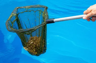 Illustration scum - Image 1