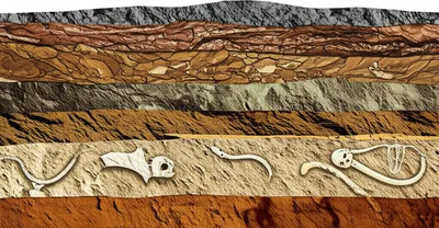 Illustration geologic