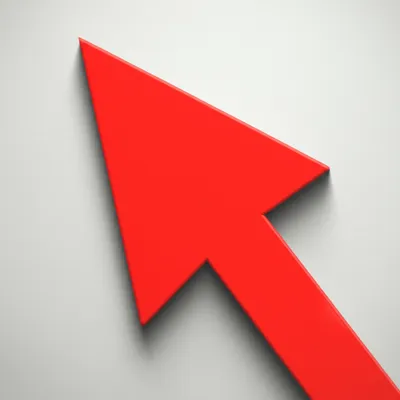 Illustration bidding - Image 1