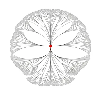 Illustration root - Image 1