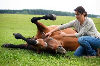 Illustration casts - Image 1