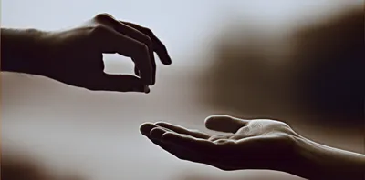 Illustration dost - Image 1