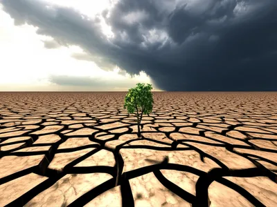 Illustration slake - Image 1