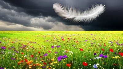 Illustration alights - Image 1