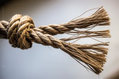 Illustration loosening - Image 1