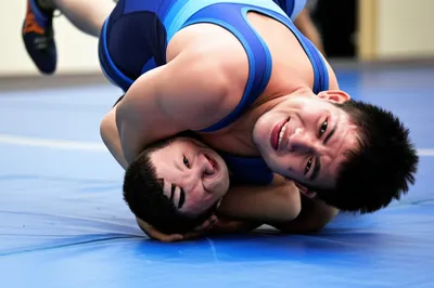 Illustration wrestled