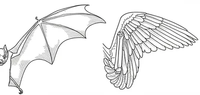 Illustration analogous - Image 1