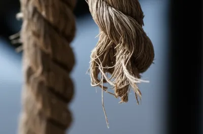 Illustration strands - Image 1