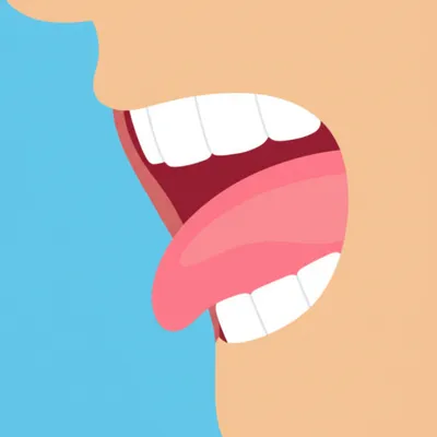 Illustration alveolars