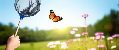 Illustration captures - Image 1