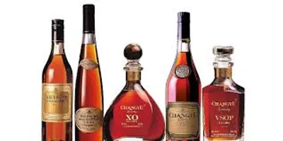 Illustration brandy - Image 2