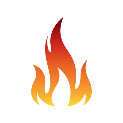 Illustration shin - Image 1