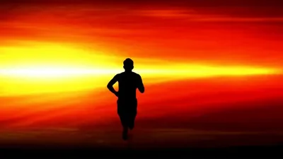 Hình ảnh minh họa flees - Ảnh 1