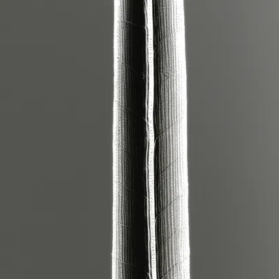 Illustration stalks - Image 1