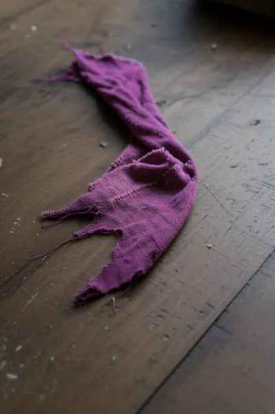 Illustration fritter - Image 1