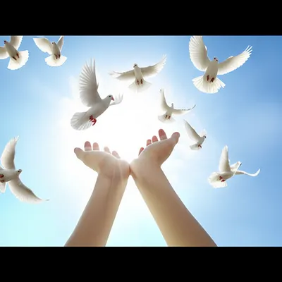 Hình ảnh minh họa releases - Ảnh 1