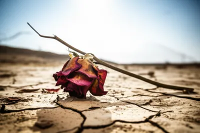 Illustration kills - Image 1