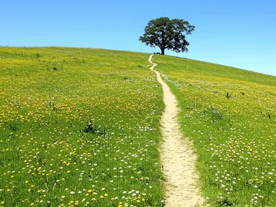 Illustration deans - Image 1