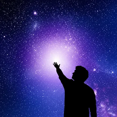 Illustration seeks - Image 1