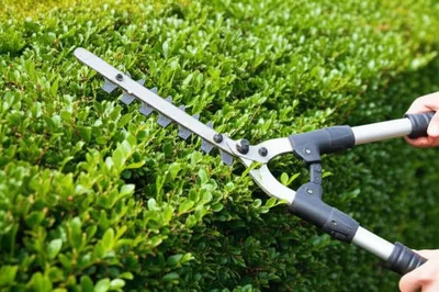 Illustration switching - Image 1