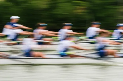Illustration coxed
