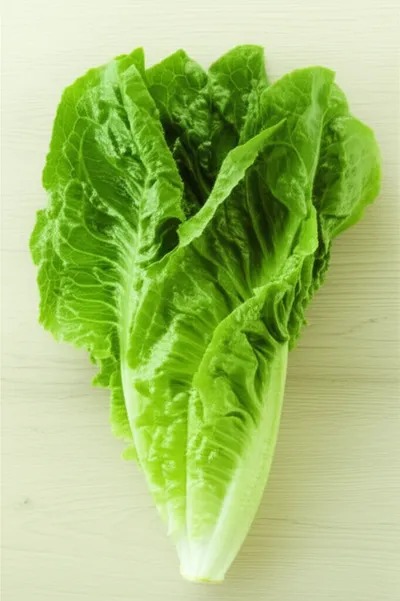 Illustration romaines - Image 2