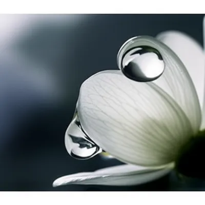 Illustration susceptible - Image 1