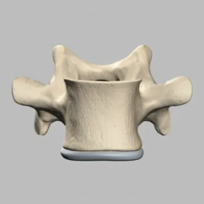 Illustration centra - Image 1