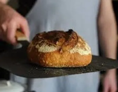 Illustration peel - Image 4