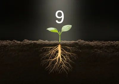 Illustration extracts - Image 1