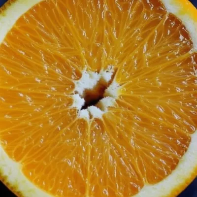 Illustration sectional - Image 1