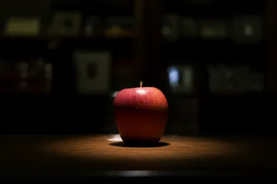 Illustration manifest - Image 1