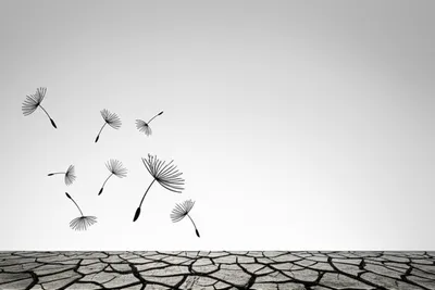 Illustration weak - Image 1