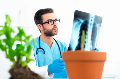 Illustration treatments