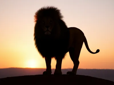 Illustration commanding - Image 1