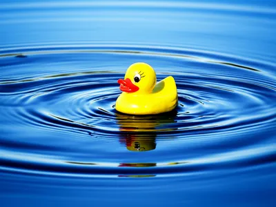 Illustration plop - Image 1