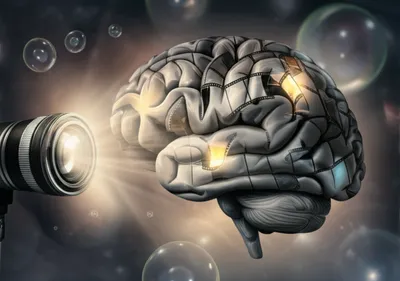 Illustration photographing - Image 1