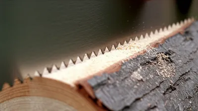 Illustration sawed - Image 1