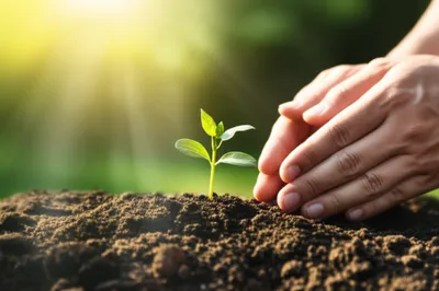 Illustration serviced