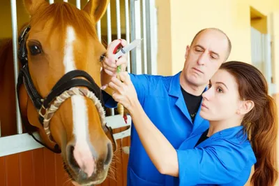 Illustration drench - Image 1