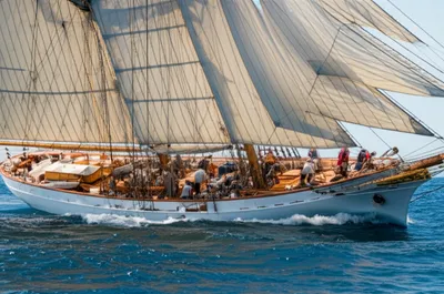 Illustration reefs - Image 1