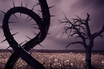 Illustration black - Image 1