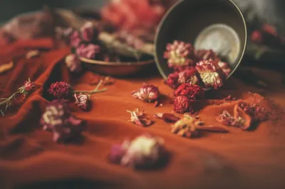 Illustration elder - Image 1