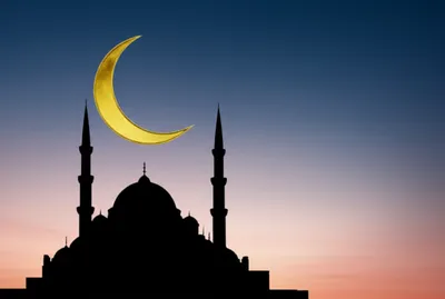 Illustration crescent - Image 1