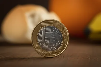 Illustration reais - Image 1