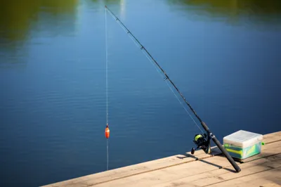 Illustration poles - Image 1