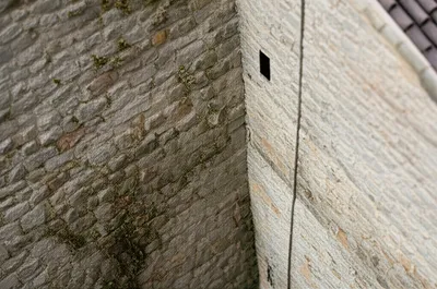 Illustration faithful - Image 1