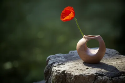 Illustration arts - Image 1